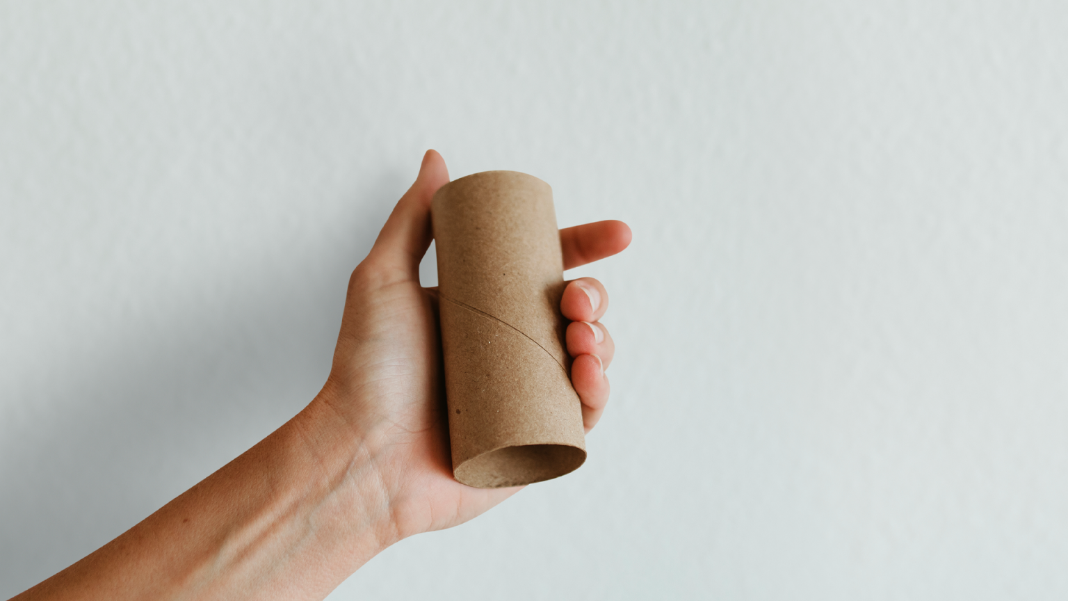 O que fazer com o rolo de papel higiênico? Saiba agora! - Claramax